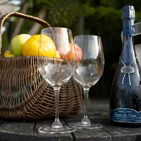 Quinta Do Carvalhal Alojamento, Penafiel Casa vacanze Irivo