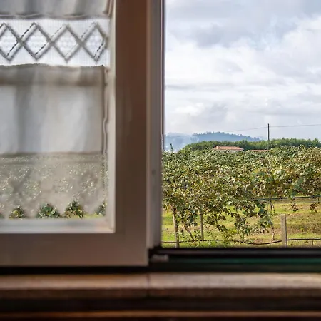 Quinta Do Carvalhal Alojamento, Penafiel *