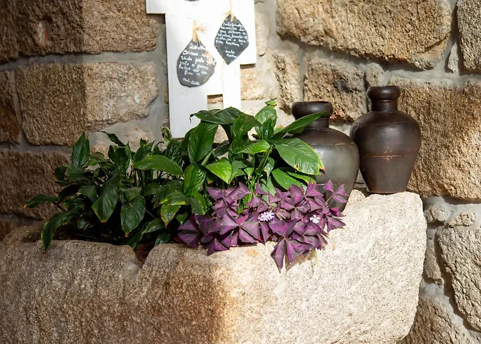 Quinta Do Carvalhal Alojamento, Penafiel Ferienhaus *